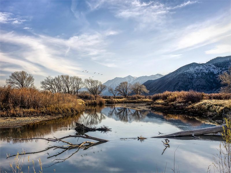 Our Story &ndash; the origin of Bristlecone Architecture