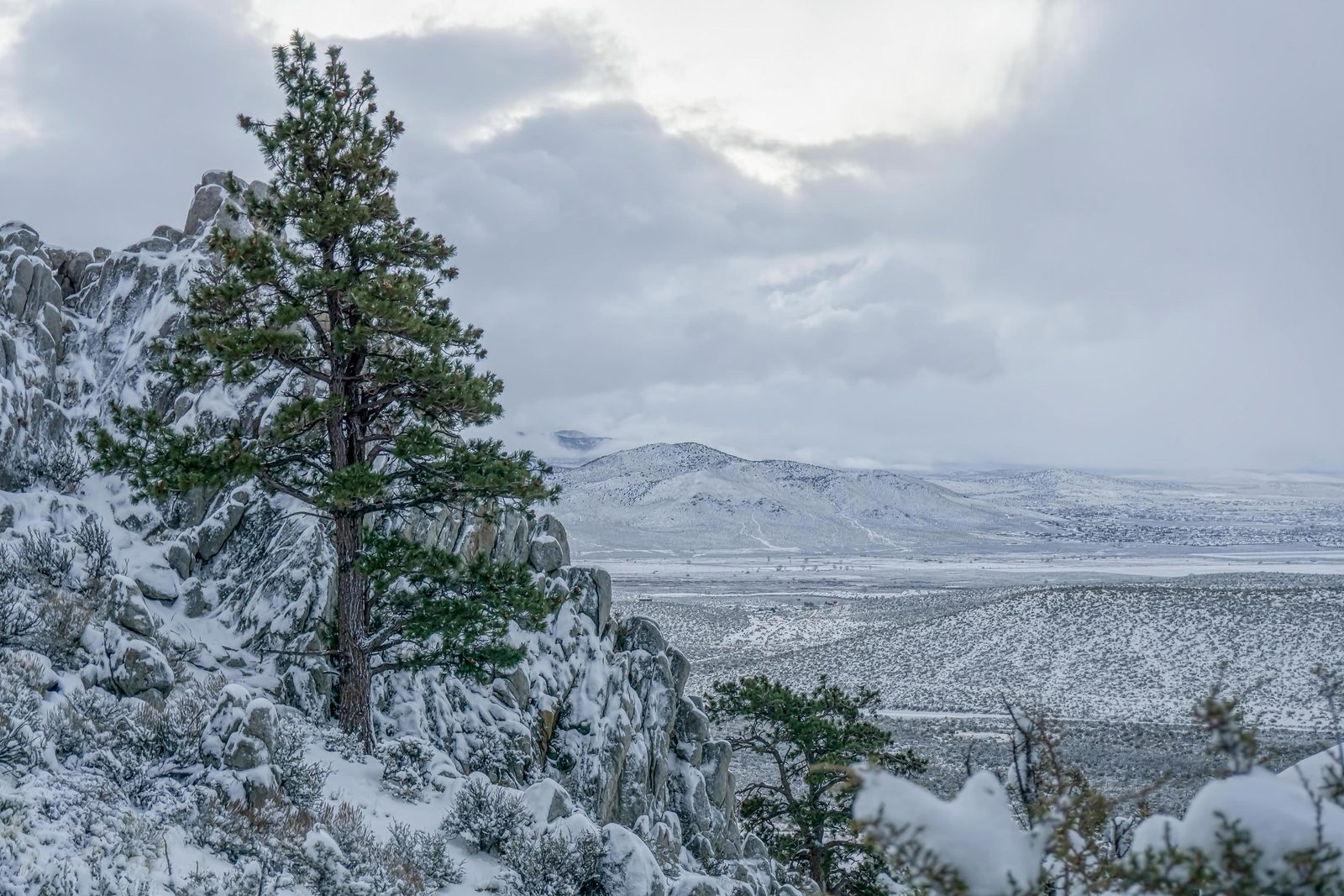 A lone pine on snow-covered granite outcrops, high above a snowy valley