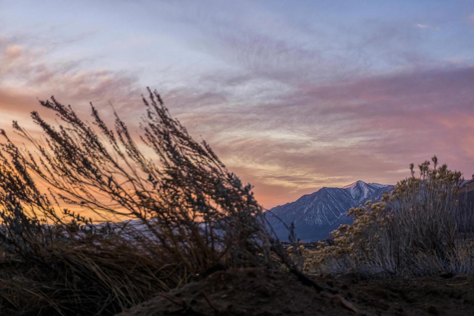 Sunset over sagebrush, alpenglow on a snow-capped Sierra peak